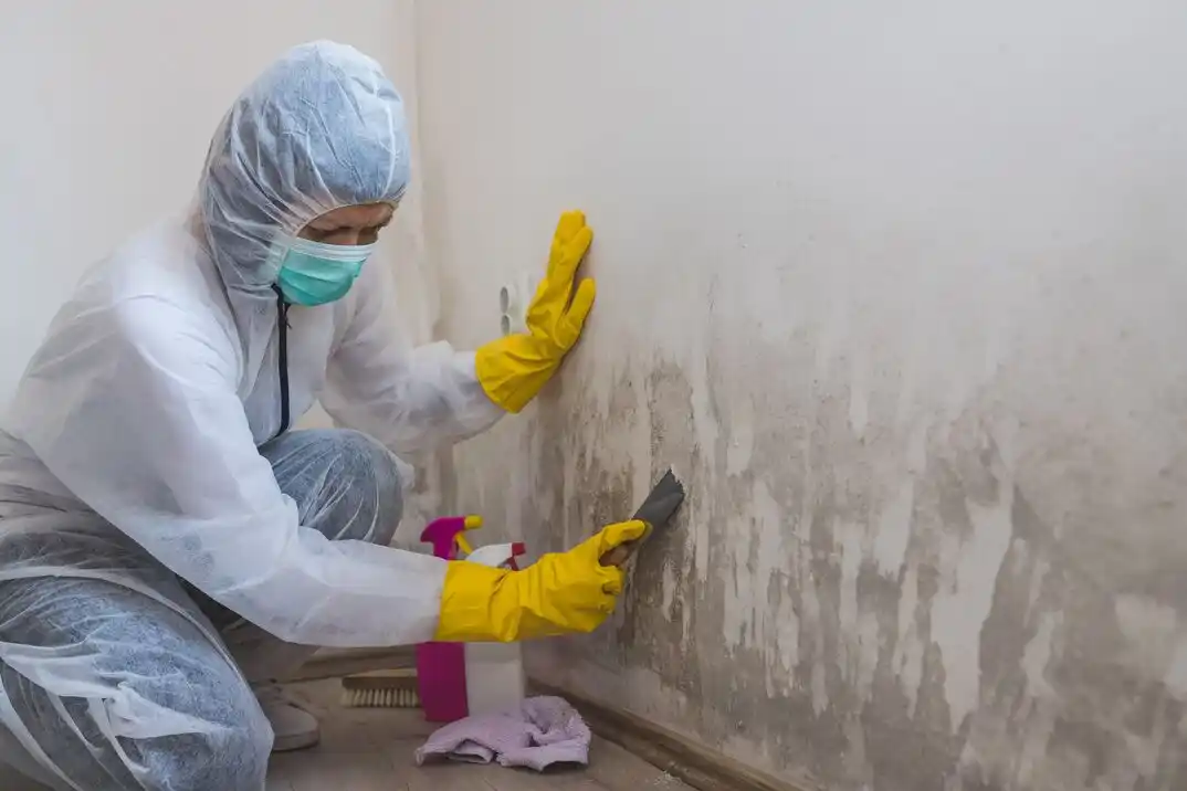 water damage restoration service Oyster Point